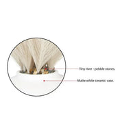 Load image into Gallery viewer, 14&quot; Artificial Pampas in White Ceramic Vase, Boho Home Decor
