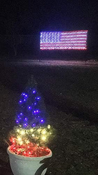 Load image into Gallery viewer, Vibrant LED American Flag Lights - 6.5ft x 3.2ft Waterproof Outdoor Decor
