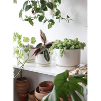 Load image into Gallery viewer, Ceramic Plant Pots, Pack of 3 Indoor/Outdoor Decor, White
