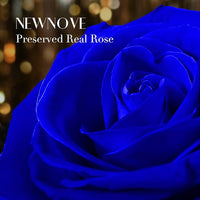 Load image into Gallery viewer, Valentines Day Gifts for Her
