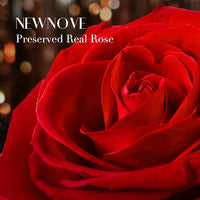 Load image into Gallery viewer, Valentines Day Gifts for Her
