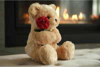 Load image into Gallery viewer, 9.5-Inch Valentine’s Teddy Bear
