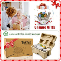 Load image into Gallery viewer, Garden Turtle Statue with Succulent &amp; 7 LED Lights
