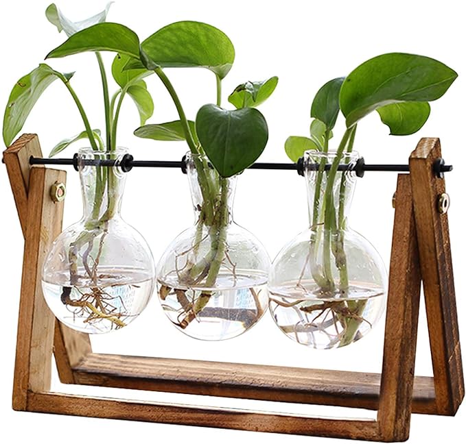 Retro Plant Terrarium with Wooden Stand, 3 Bulb Glass Vase for Home or Office