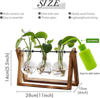 Load image into Gallery viewer, Retro Plant Terrarium with Wooden Stand, 3 Bulb Glass Vase for Home or Office
