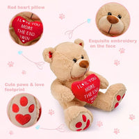 Load image into Gallery viewer, 10-Inch Valentine’s Teddy Bear
