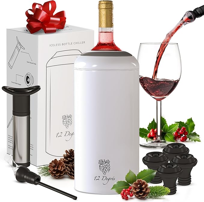 Stainless Steel Wine Chiller Set - Wine Cooler
