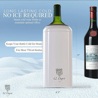 Load image into Gallery viewer, Stainless Steel Wine Chiller Set - Wine Cooler
