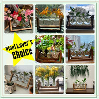 Load image into Gallery viewer, Retro Plant Terrarium with Wooden Stand, 3 Bulb Glass Vase for Home or Office

