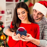 Load image into Gallery viewer, Preserved Flowers whit high-end rose necklace gift box
