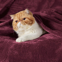 Load image into Gallery viewer, Blanket Queen Plush, Lightweight, Cozy Bed Blanket 90x90 Inches
