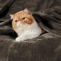 Load image into Gallery viewer, Blanket Queen Plush, Lightweight, Cozy Bed Blanket 90x90 Inches

