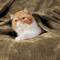 Load image into Gallery viewer, Blanket Queen Plush, Lightweight, Cozy Bed Blanket 90x90 Inches
