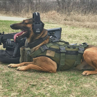 Load image into Gallery viewer, Walker&#39;s Razor Slim Black Patriot Version Electronic Muff
