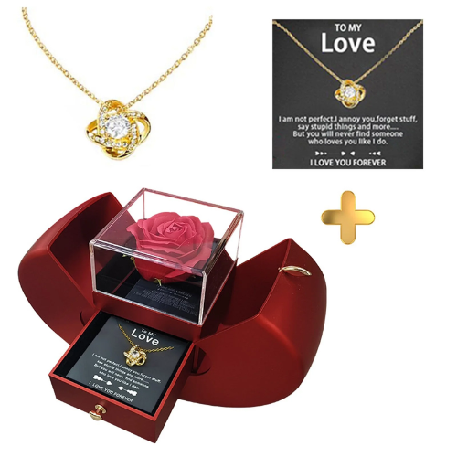 Eternal Love: Preserved Red Rose and 'I Love You' Necklace in 100 Languages – Romantic Floral Gift for Her