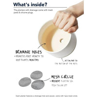 Load image into Gallery viewer, Ceramic Plant Pots, Pack of 3 Indoor/Outdoor Decor, White
