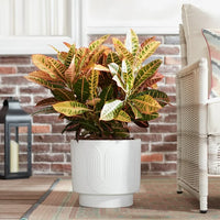 Load image into Gallery viewer, 12&quot; Amy Ceramic Planter White Modern Indoor Outdoor
