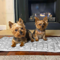 Load image into Gallery viewer, Dog Bed Mat with Cute Prints for Kennels Crates Beds Anti-Slip Bottom 3 Sizes
